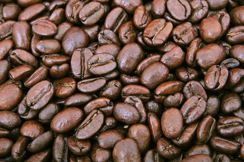 Dragon's Eye Bean Seeds