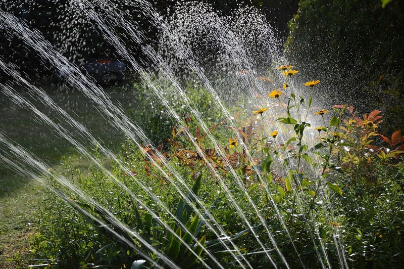 Whimsical Sprinkler